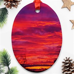 Warm Landscape Oval Ornament (two Sides) by okhismakingart