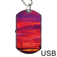 Warm Landscape Dog Tag Usb Flash (one Side) by okhismakingart