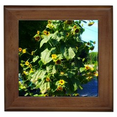 Big Sunflowers Framed Tiles by okhismakingart