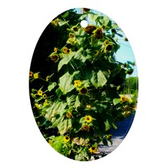 Big Sunflowers Ornament (oval) by okhismakingart