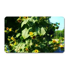 Big Sunflowers Magnet (rectangular) by okhismakingart