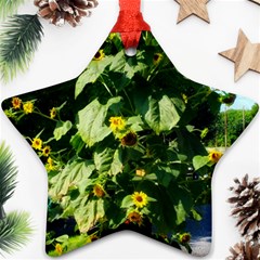 Big Sunflowers Star Ornament (two Sides) by okhismakingart