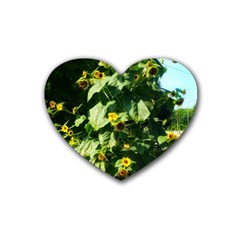 Big Sunflowers Heart Coaster (4 Pack)  by okhismakingart