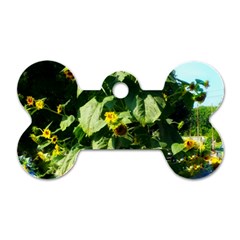 Big Sunflowers Dog Tag Bone (two Sides) by okhismakingart