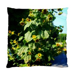 Big Sunflowers Standard Cushion Case (two Sides) by okhismakingart