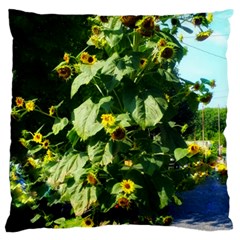 Big Sunflowers Large Flano Cushion Case (two Sides) by okhismakingart