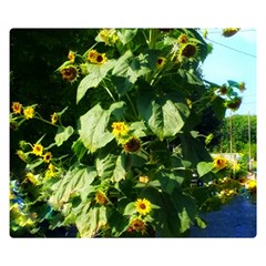 Big Sunflowers Double Sided Flano Blanket (small)  by okhismakingart