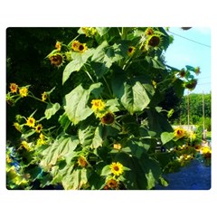 Big Sunflowers Double Sided Flano Blanket (medium)  by okhismakingart