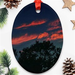 Pink Streaks Ornament (oval) by okhismakingart