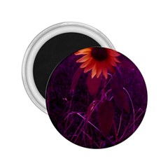 Purple Sunflower 2 25  Magnets by okhismakingart