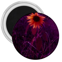 Purple Sunflower 3  Magnets by okhismakingart