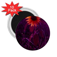 Purple Sunflower 2 25  Magnets (10 Pack)  by okhismakingart