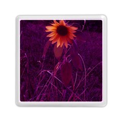 Purple Sunflower Memory Card Reader (square) by okhismakingart