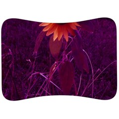 Purple Sunflower Velour Seat Head Rest Cushion by okhismakingart