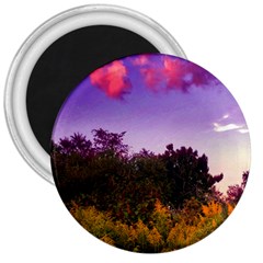 Purple Afternoon 3  Magnets by okhismakingart