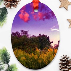 Purple Afternoon Oval Ornament (two Sides) by okhismakingart