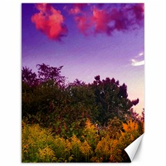 Purple Afternoon Canvas 12  X 16  by okhismakingart