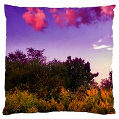 Purple Afternoon Large Flano Cushion Case (one Side) by okhismakingart