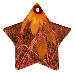 Red Tinted Sunflower Ornament (star) by okhismakingart