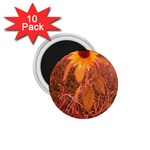 Red Tinted Sunflower 1.75  Magnets (10 pack)  Front