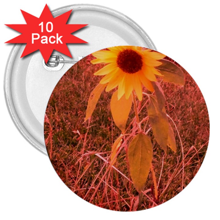 Red Tinted Sunflower 3  Buttons (10 pack) 