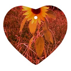 Red Tinted Sunflower Heart Ornament (two Sides) by okhismakingart