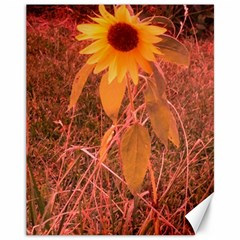 Red Tinted Sunflower Canvas 11  x 14 