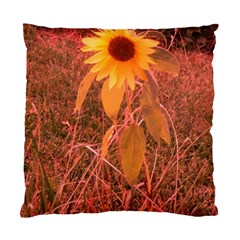 Red Tinted Sunflower Standard Cushion Case (one Side) by okhismakingart