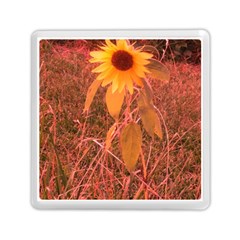 Red Tinted Sunflower Memory Card Reader (square) by okhismakingart