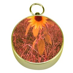 Red Tinted Sunflower Gold Compasses