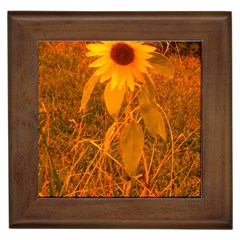 Yellow Sunflower Framed Tiles by okhismakingart