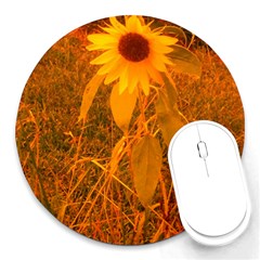 Yellow Sunflower Round Mousepads by okhismakingart