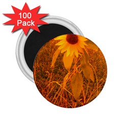 Yellow Sunflower 2 25  Magnets (100 Pack)  by okhismakingart