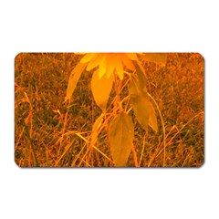 Yellow Sunflower Magnet (rectangular) by okhismakingart