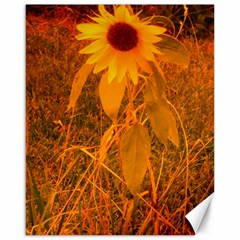 Yellow Sunflower Canvas 16  X 20  by okhismakingart