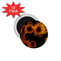 Yellow Flowers 1 75  Magnets (10 Pack)  by okhismakingart