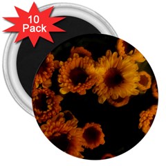 Yellow Flowers 3  Magnets (10 Pack)  by okhismakingart