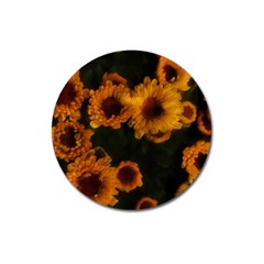 Yellow Flowers Magnet 3  (round) by okhismakingart