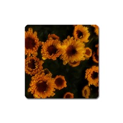 Yellow Flowers Square Magnet by okhismakingart