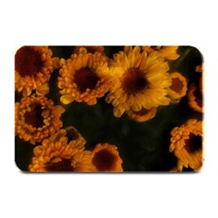 Yellow Flowers Plate Mats by okhismakingart