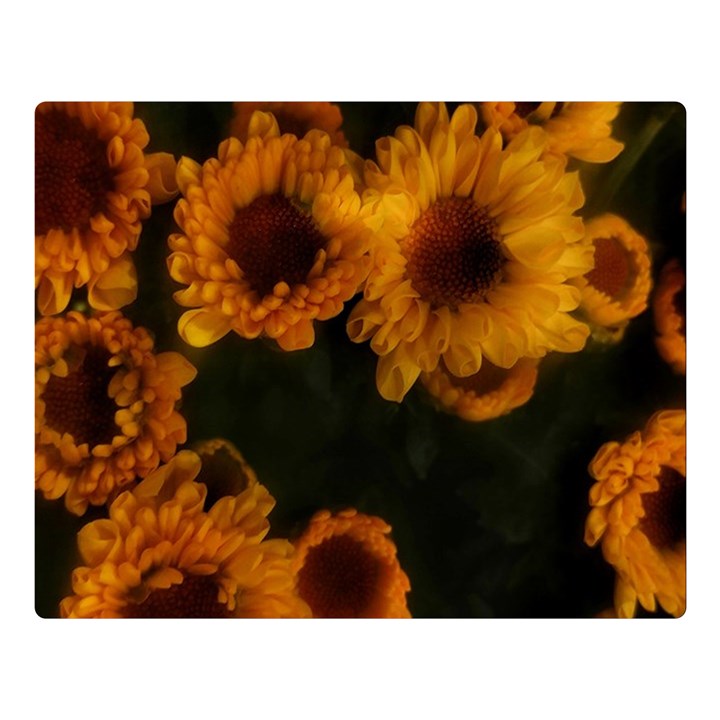 Yellow Flowers Double Sided Flano Blanket (Large) 