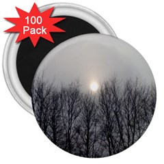 Foggy Forest 3  Magnets (100 Pack) by okhismakingart