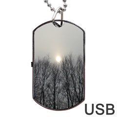 Foggy Forest Dog Tag Usb Flash (two Sides) by okhismakingart