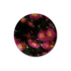 Purple Flowers With Yellow Centers Magnet 3  (round) by okhismakingart