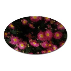 Purple Flowers With Yellow Centers Oval Magnet by okhismakingart