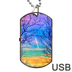 Pastel Plane Take-off Dog Tag Usb Flash (one Side) by okhismakingart