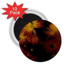 Red Striped Flowers 2 25  Magnets (10 Pack)  by okhismakingart