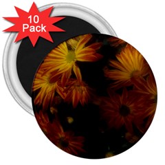 Red Striped Flowers 3  Magnets (10 Pack)  by okhismakingart