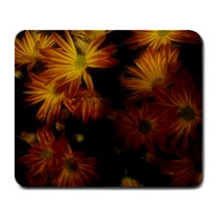 Red Striped Flowers Large Mousepads by okhismakingart