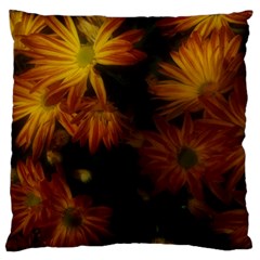 Red Striped Flowers Large Cushion Case (two Sides) by okhismakingart